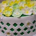 batmitzvahcake-6 garden cake