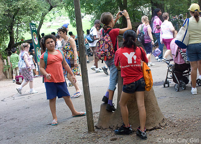 Photography Camp Field Trip To The Bronx Zoo Total City Girl The Blog