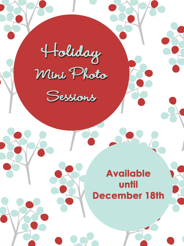 Holiday Mini Photo Sessions