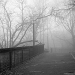 Foggy Morning