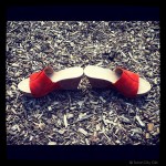 My favorite orange shoes