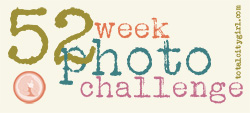 52 Week Photo Challenge - Total City Girl