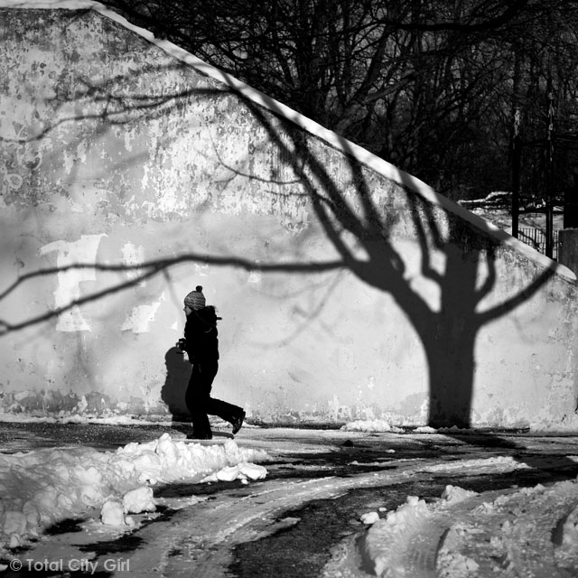 Caught My Eye:  Tree Shadow