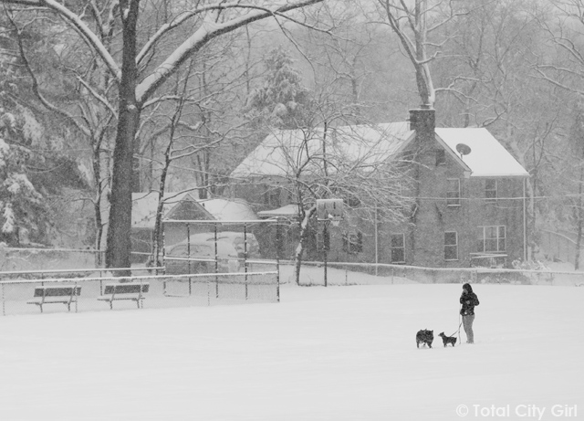 Snow In Riverdale, NY