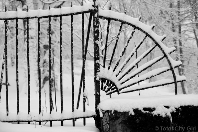 Snow In Riverdale, NY