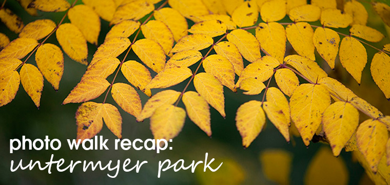 Photo Walk Recap – Untermyer Park