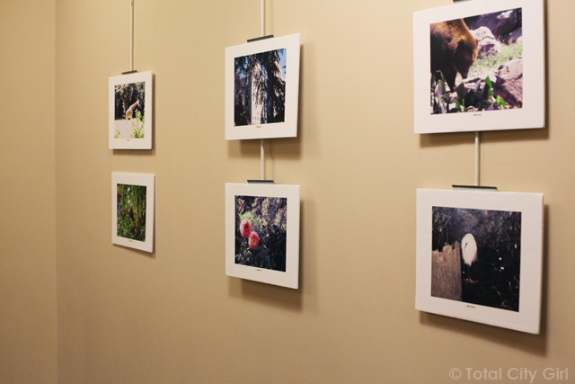 Photography Exhibit at Gallery 18
