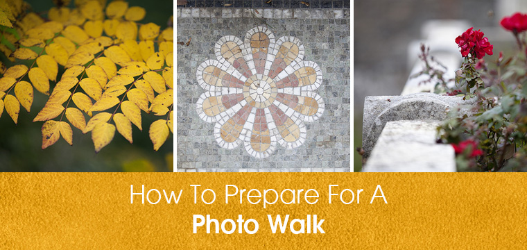 How To Prepare For A Photo Walk